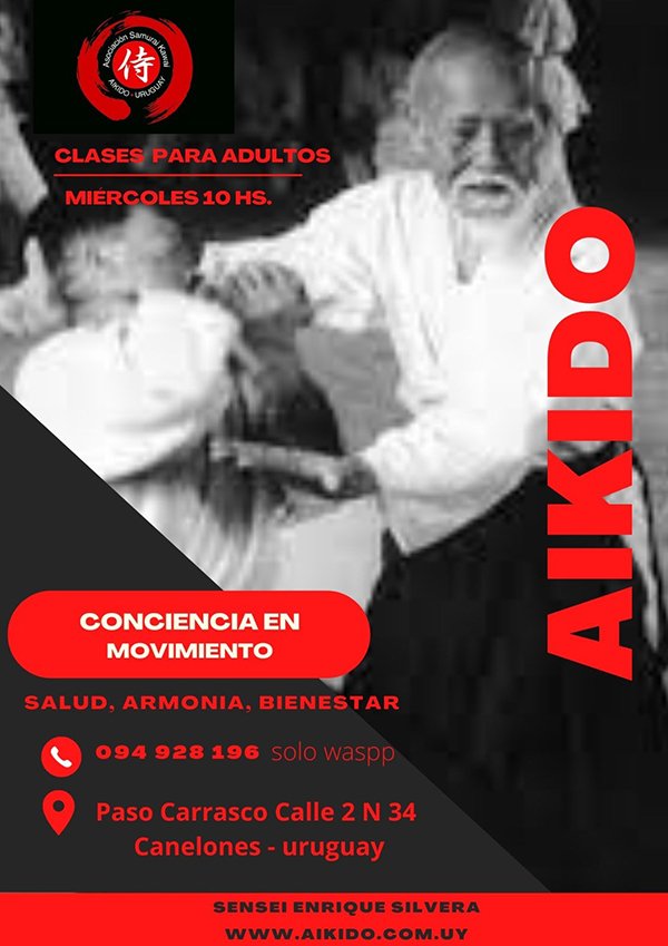 Clases de Aikido para adultos