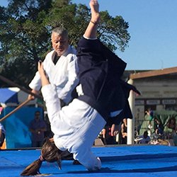 Enrique Silvera sensei: "fluir como el bambú"